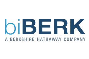 BiBerk insurance