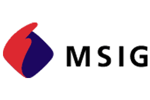 MSGI Insurance